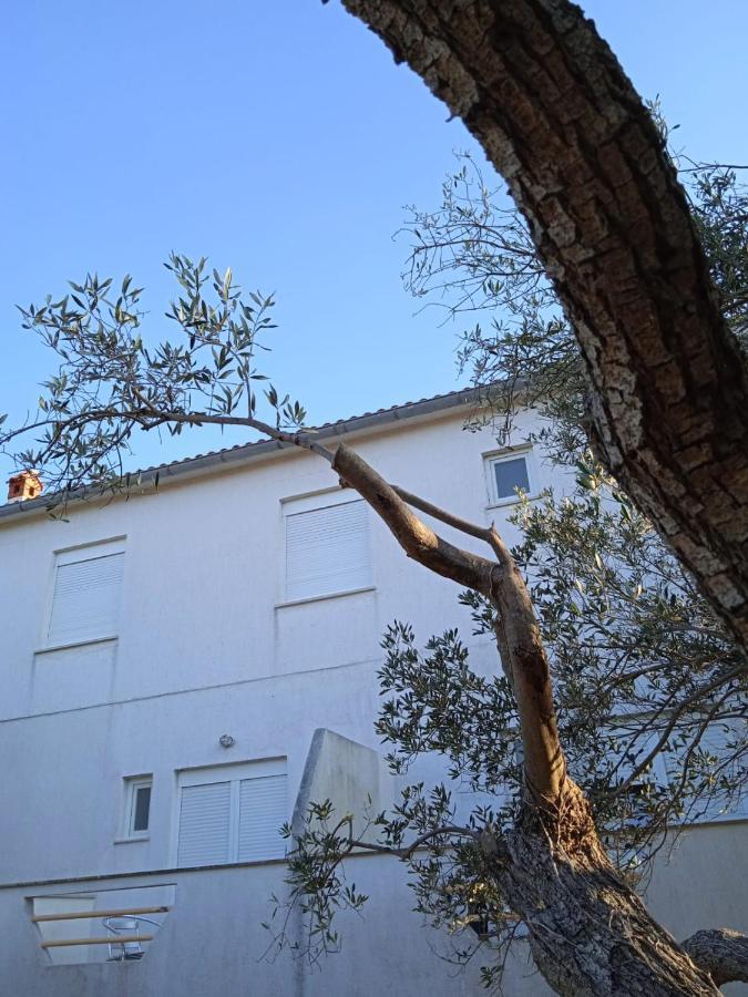 Apartments Irena Božava エクステリア 写真